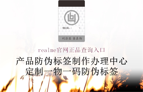 realme官网正品查询入口1.jpg