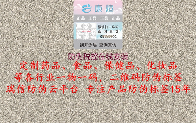 防伪税控在线安装3.jpg