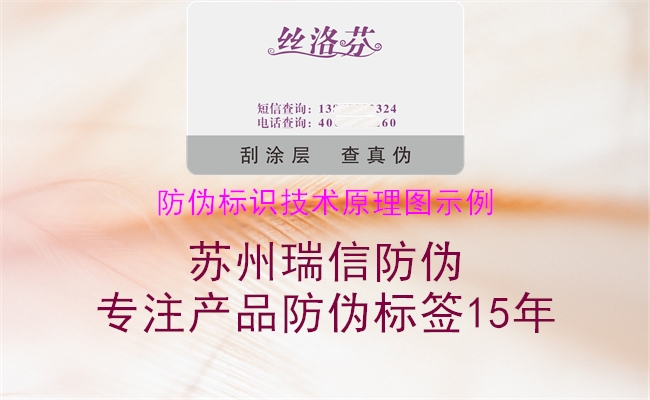 防伪标识技术原理图示例1.jpg