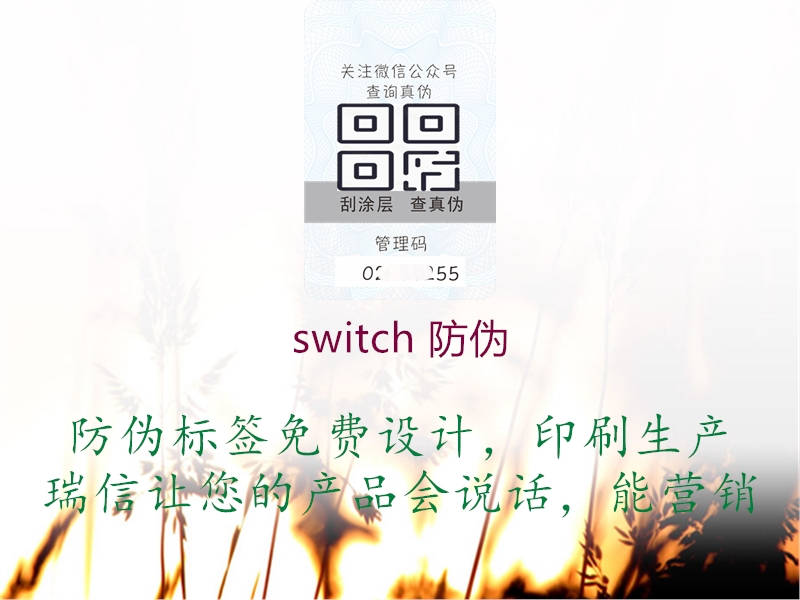 switch 防伪1.jpg